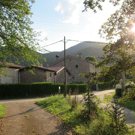 Mas El Llach La Vall de Bianya Bagian luar foto